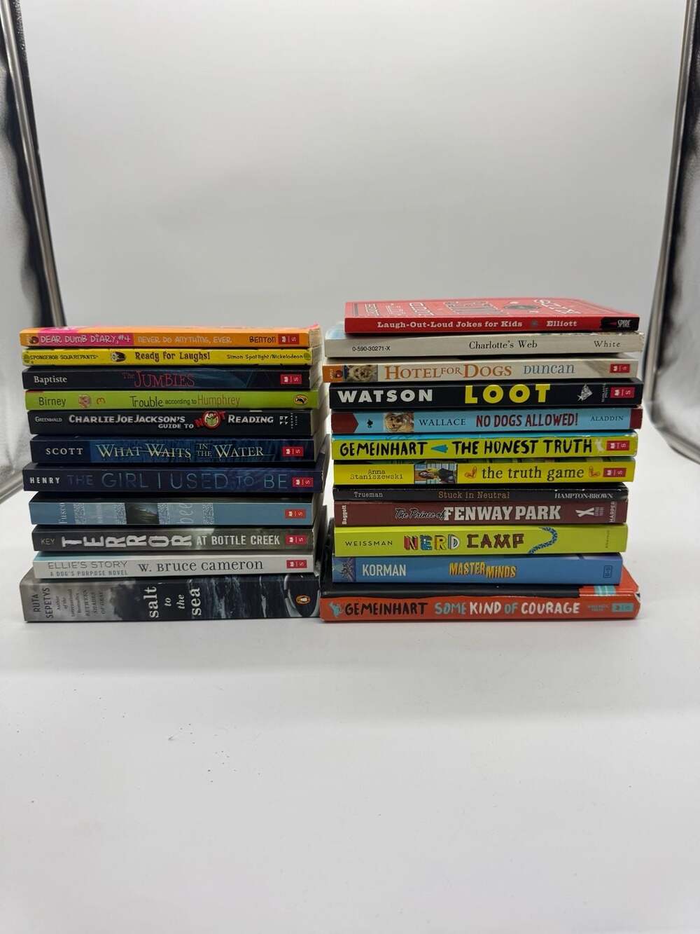 Lot of 23 Assorted Kids YA Chapter Books
Paperback